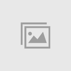 Les Petits Marmots |  | Mary's