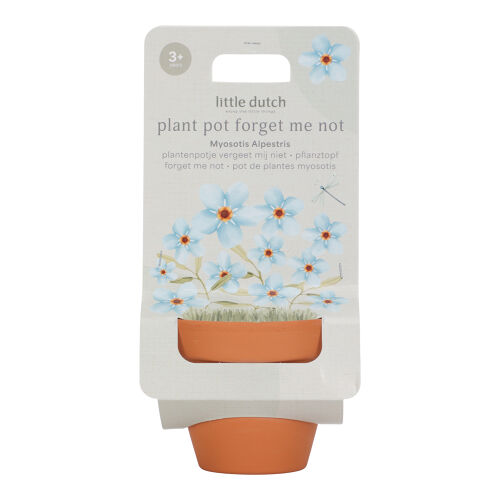 Les Petits Marmots | Kit de plantation - Myosotis