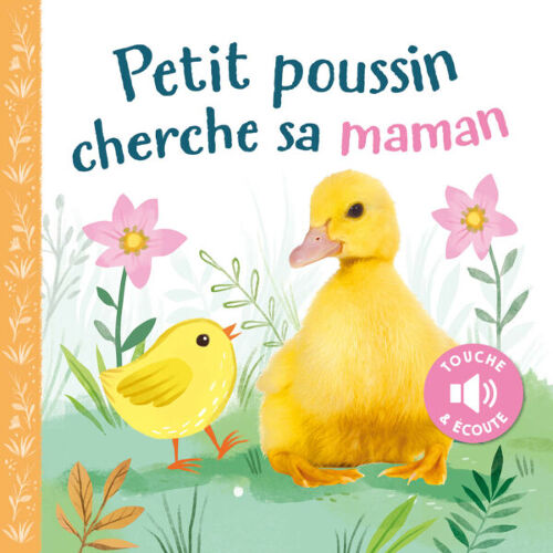 Les Petits Marmots | Petit poussin cherche sa maman