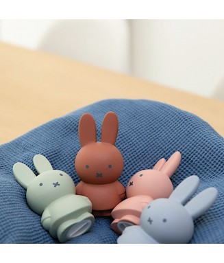 Les Petits Marmots | Tirelire 18cm - Miffy