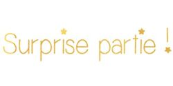 Les Petits Marmots |  | Surprise partie !