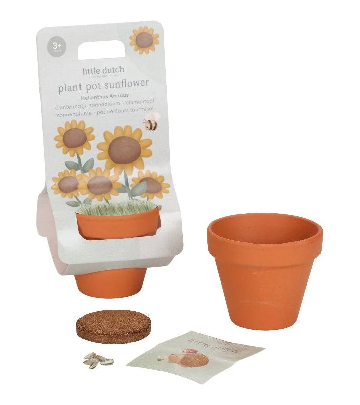 Les Petits Marmots | Kit de plantation - Tournesol