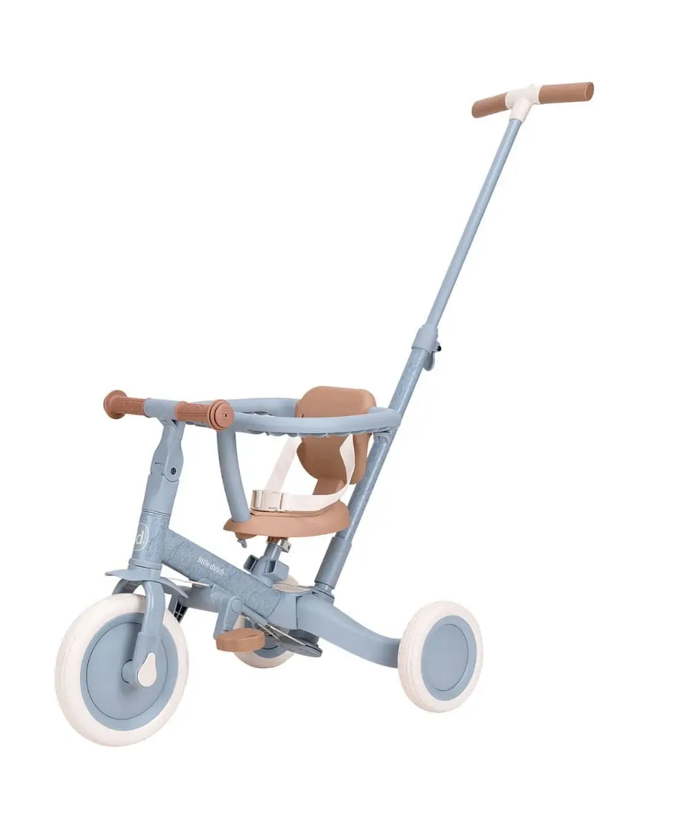 Les Petits Marmots | Tricycle 4 en 1 - Bleu